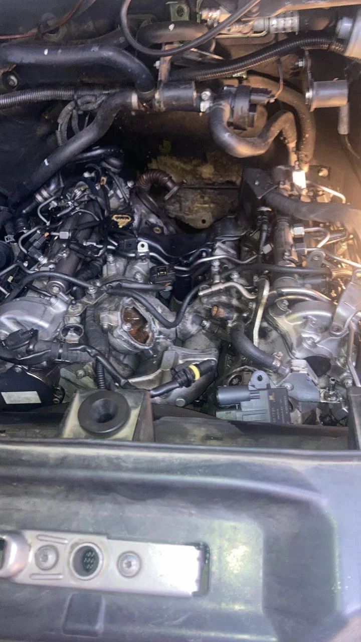 Drautomotriz Motor Mecanica Automotriz Mangueras
