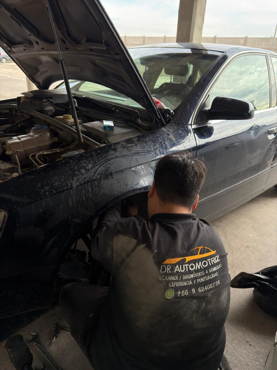 Neumaticos Auto 2