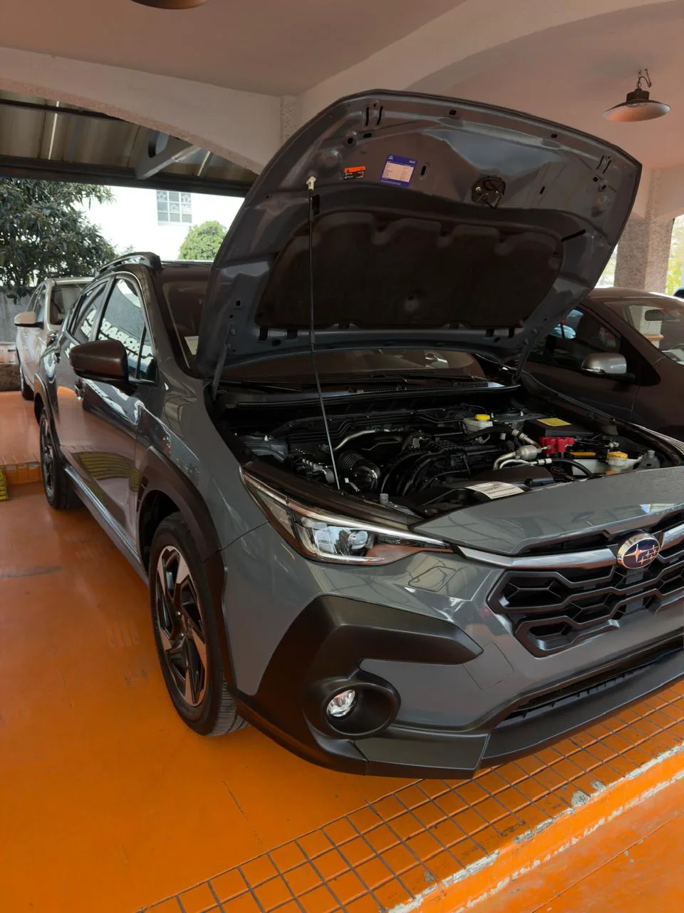 Inspección pre compra Subaru Crosstrek - 9